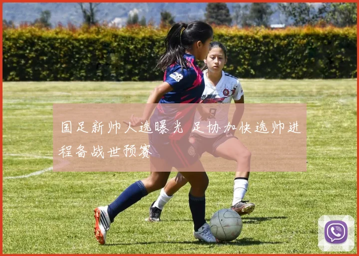 国足新帅人选曝光 足协加快选帅进程备战世预赛