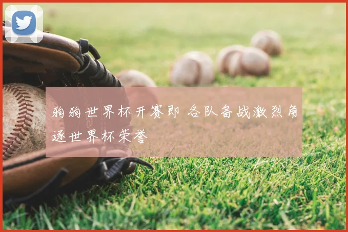 狗狗世界杯开赛即 各队备战激烈角逐世界杯荣誉