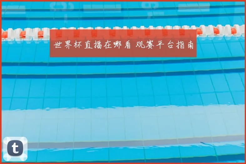 世界杯直播在哪看 观赛平台指南