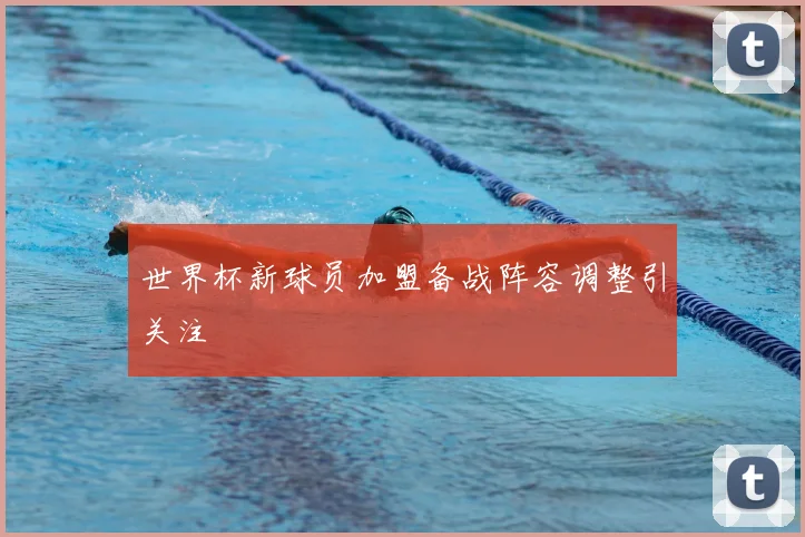 世界杯新球员加盟备战阵容调整引关注