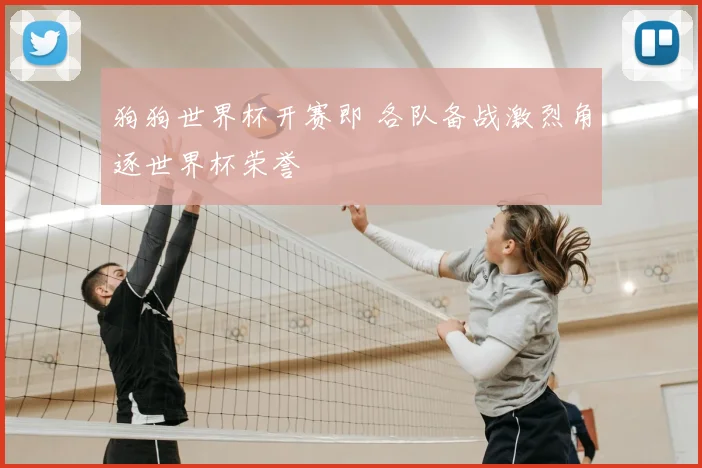 狗狗世界杯开赛即 各队备战激烈角逐世界杯荣誉
