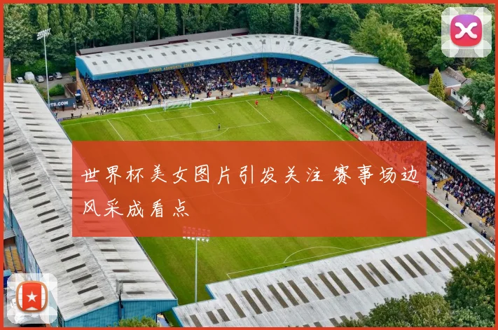 世界杯美女图片引发关注 赛事场边风采成看点