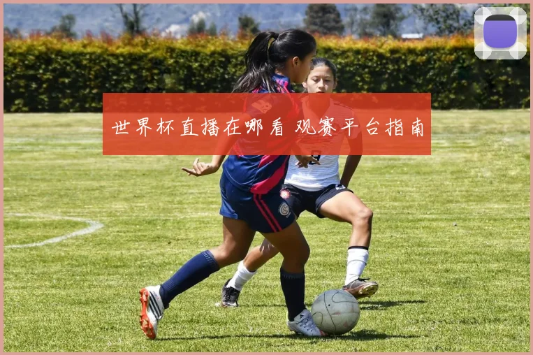 世界杯直播在哪看 观赛平台指南