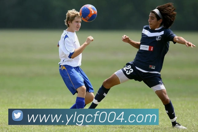 leyu乐鱼网页版在线登录发展历程