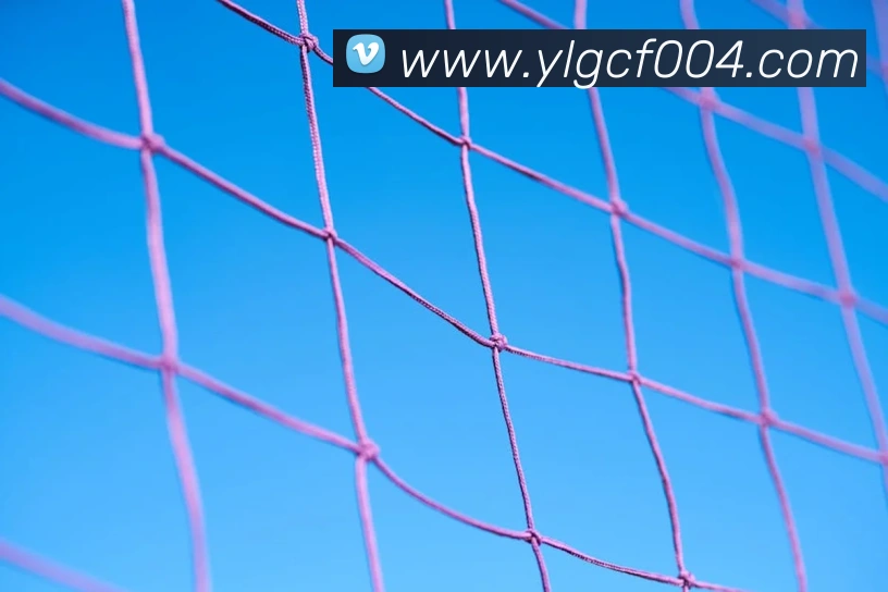 夏季奥运会金牌总数第一争夺升温 中国队冲击领先优势成焦点